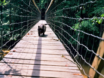 Sally in Bridge